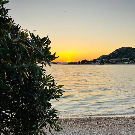 Vitus Croatia Drage